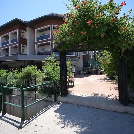 Ilayda دالامان